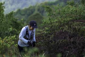 BIB: 
                            <button type="button" onclick="openModal(24763956)" class="btn btn-primary btn-sm float-right btn-popup" data-toggle="modal" data-target=".modal-high-quality">
                        <i class="fas fa-shopping-cart"></i> Add to Cart
                    </button>
                                            <button type="button" onclick="isThisMe(24763956, true)" class="btn btn-success btn-sm float-right btn-popup btn-isme hidden" data-toggle="tooltip" data-placement="bottom" title="นี่คือรูปของคุณใช่ไหม คลิกที่นี่เพื่อเอาเข้าอัลบั้ม">
                        <i class="fas fa-plus"></i> Add to album
                    </button>
                    <button type="button" onclick="isThisMe(24763956, false)" class="btn btn-warning btn-sm float-right btn-popup btn-isnotme hidden">
                        <i class="fas fa-ban"></i> Remove from album
                    </button>